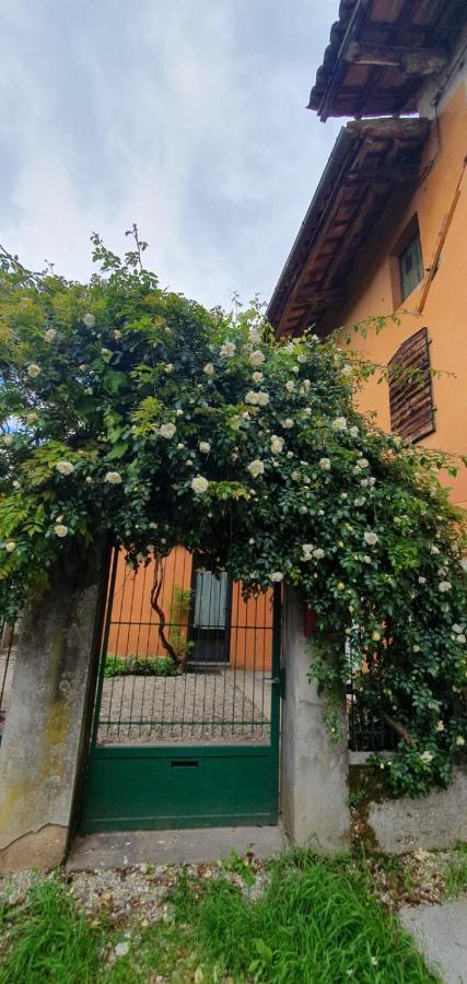 Casa Vacanze Tredis Nogaredo di Prato Екстер'єр фото
